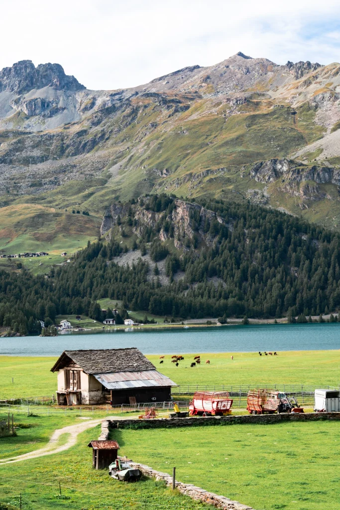 Der Weiler Isola im Engadin.